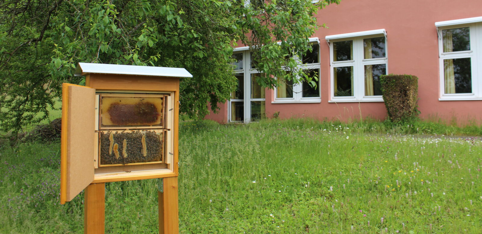 Unsere Bienen